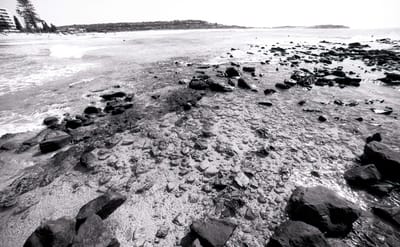 bw14mm-153.jpg