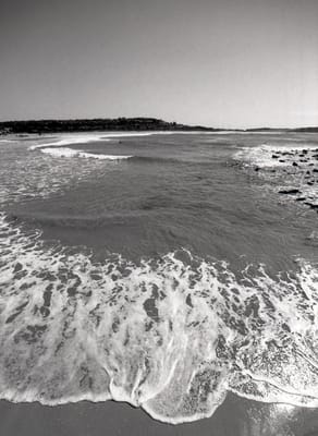 bw14mm-154.jpg