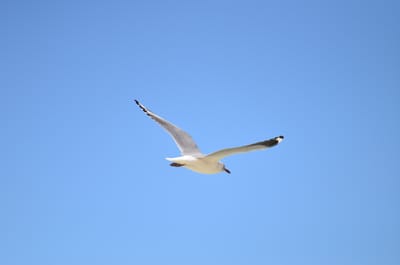 DSC_2232.JPG