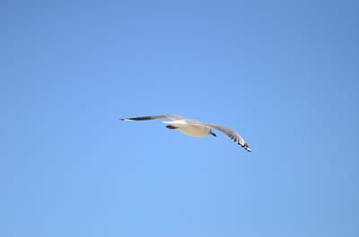 DSC_2233.JPG