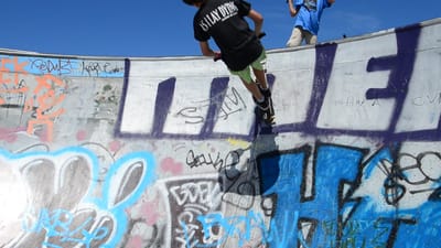 DSC_2006.MOV