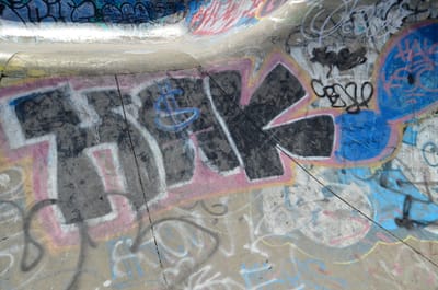 DSC_2013.JPG