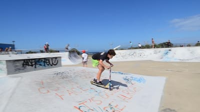 DSC_2059.MOV