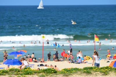 DSC_2433.JPG