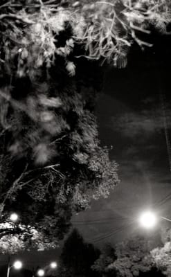 j068.jpg