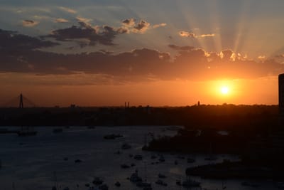 DSC_2979.JPG