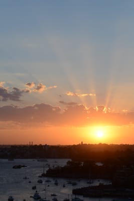DSC_2980.JPG