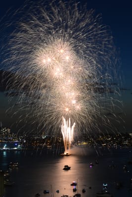 DSC_3024.JPG