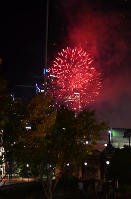 DSC_1648.JPG