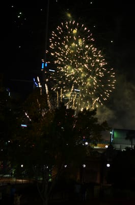 DSC_1655.JPG