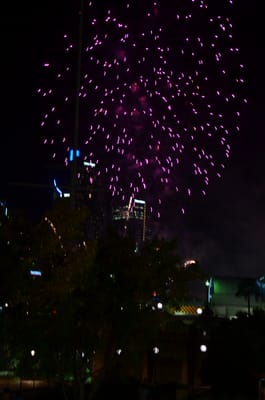 DSC_1656.JPG