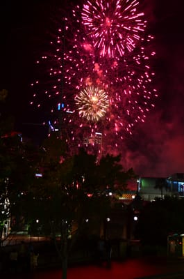 DSC_1657.JPG