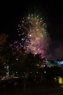 DSC_1662.JPG