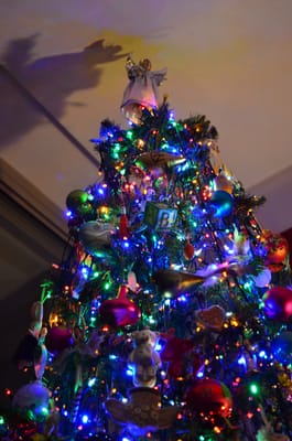 DSC_1666.JPG