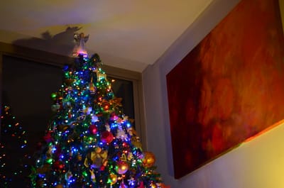 DSC_1667.JPG