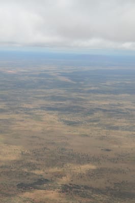 DSC_0626.JPG