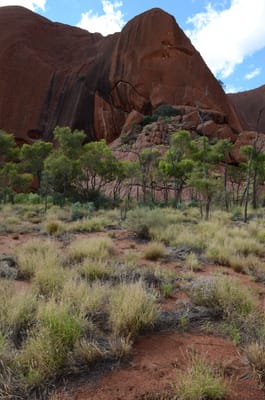 DSC_0648.JPG