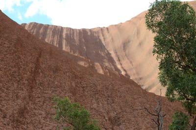 DSC_0662.JPG