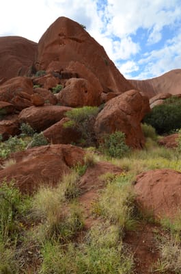 DSC_0686.JPG