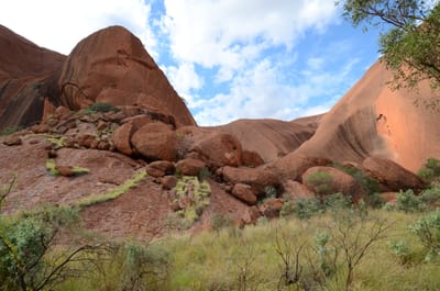 DSC_0687.JPG