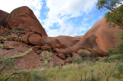 DSC_0688.JPG