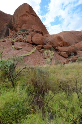 DSC_0689.JPG