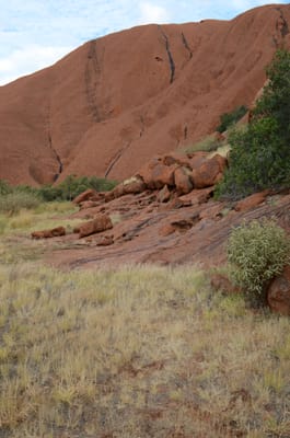 DSC_0706.JPG