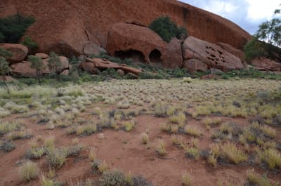 DSC_0711.JPG