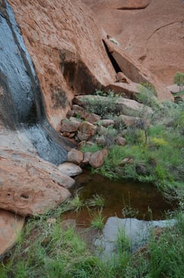 DSC_0722.JPG