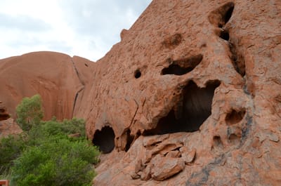 DSC_0736.JPG