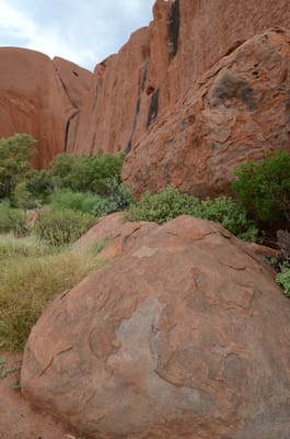 DSC_0738.JPG