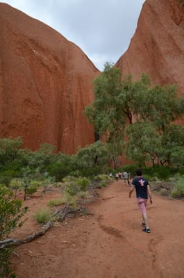 DSC_0740.JPG