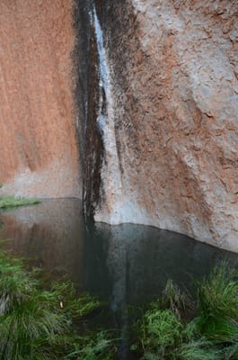DSC_0745.JPG