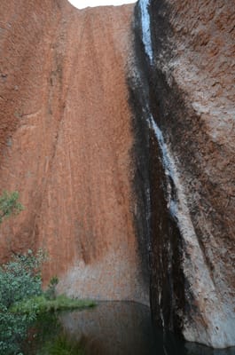 DSC_0747.JPG