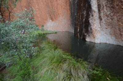 DSC_0748.JPG