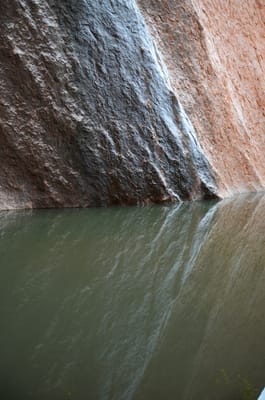 DSC_0753.JPG