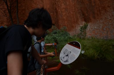 DSC_0756.JPG