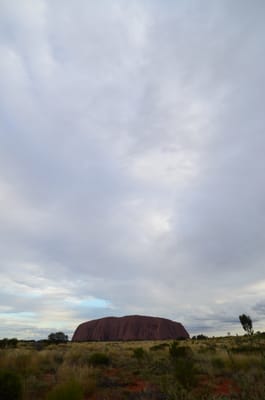 DSC_0763.JPG