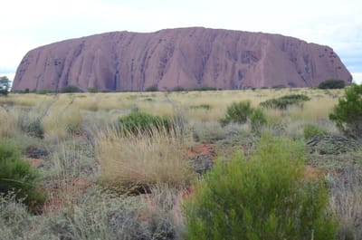 DSC_0765.JPG