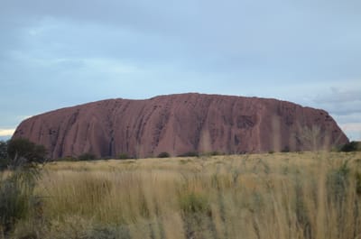 DSC_0771.JPG