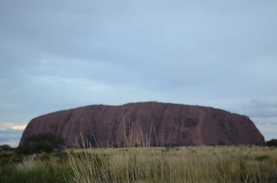 DSC_0772.JPG