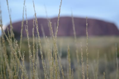 DSC_0773.JPG