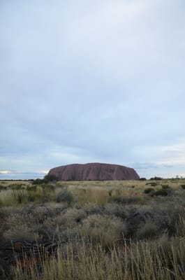 DSC_0774.JPG