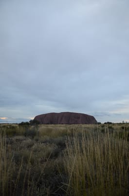 DSC_0775.JPG