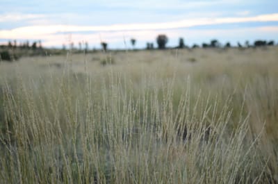 DSC_0777.JPG