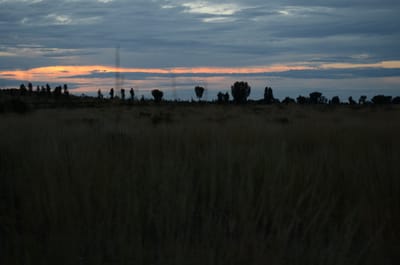 DSC_0778.JPG