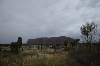 DSC_0782.JPG