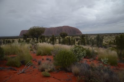 DSC_0787.JPG