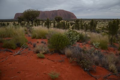 DSC_0790.JPG