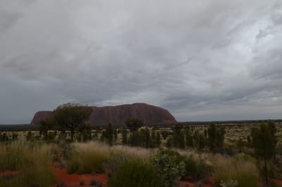 DSC_0792.JPG